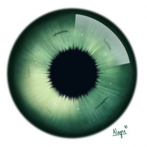 Iris Green